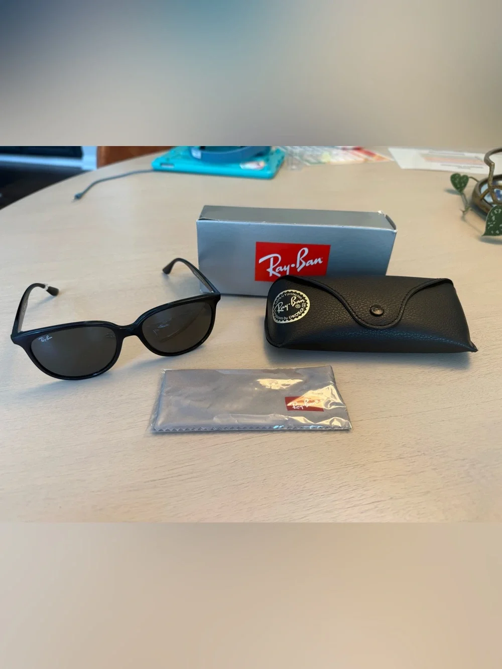 Ray-Ban Black Havana Sunglasses with Case